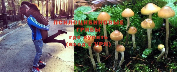 стаф Волоколамск