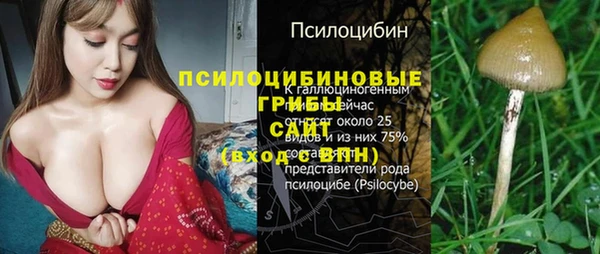 дмт Верхний Тагил