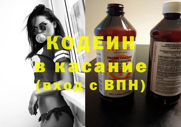 дурь Инта