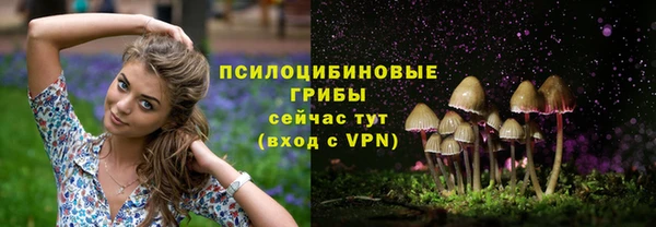 дурь Володарск