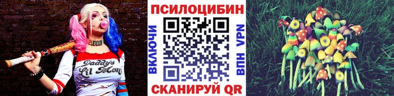 Псилоцибиновые грибы Cubensis  mega вход  Гаврилов Посад  купить закладку 