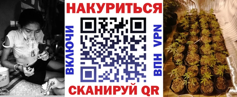 Шишки марихуана сатива  блэк спрут вход  Гаврилов Посад 